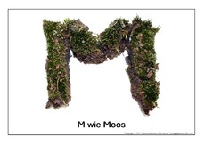 M-wie-Moos.pdf